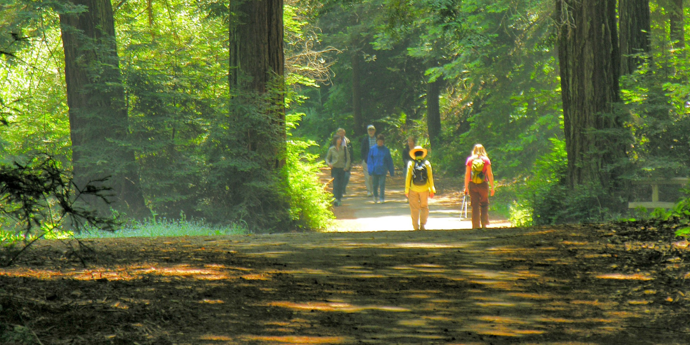 April-IntranetBanner3 Walk with your doc banner